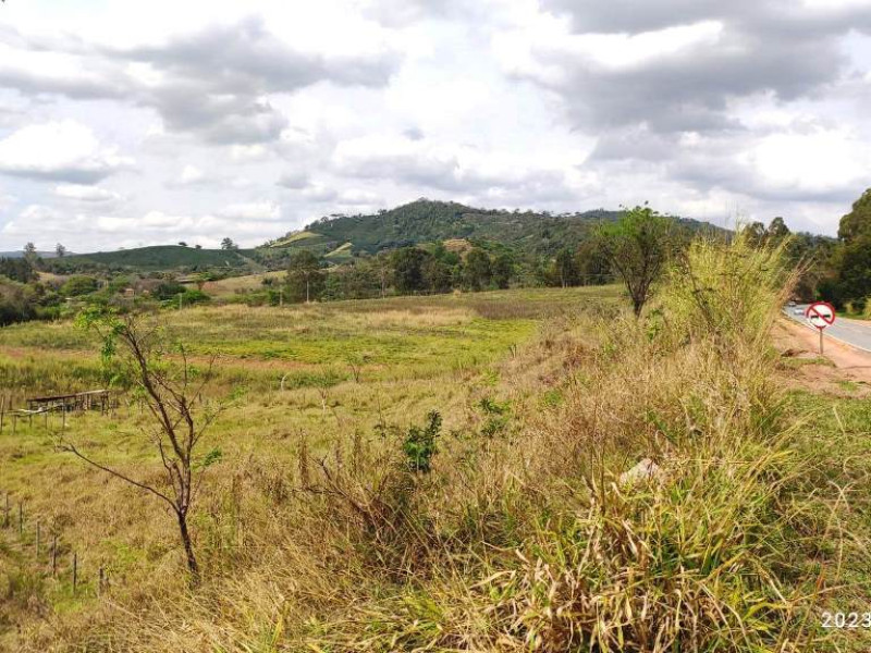 Área no município de Tapiratiba- SP