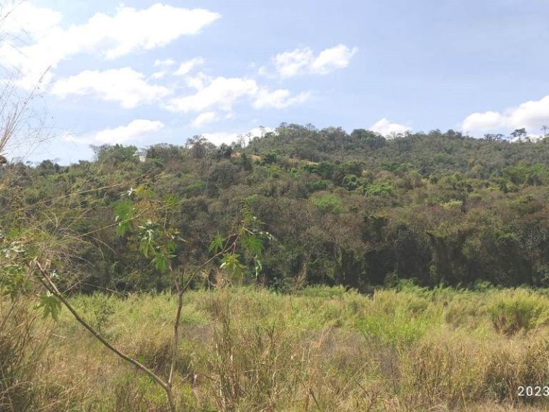 Área de reserva Tapiratiba - SP