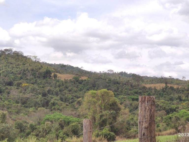 Área de reserva na cidade de Tapiratiba - SP