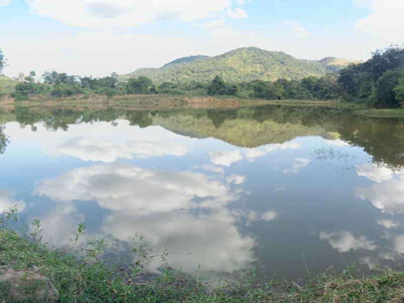 Área de 3,56 ha no bairro São Domingos, na cidade de Divinolândia - SP.