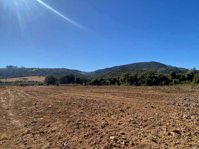 Área de 2 alqueires no Bairro São Domingos, Divinolândia - SP.