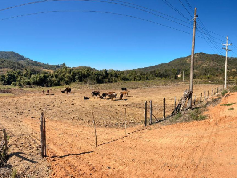 Área de 2 alqueires no Bairro São Domingos, Divinolândia - SP.